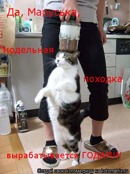 Котоматрица: Да, Маруська,  вырабатывается ГОДАМИ! модельная походка