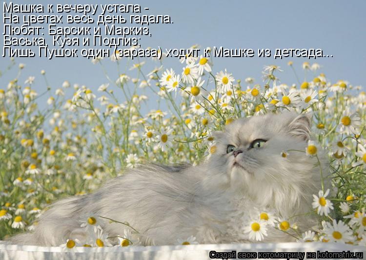 Машка к вечеру устала - На цветах весь день гадала. Любят: Барсик и Маркиз, Васька, Кузя и Подлиз; Ли... Котоматрица: Машка к вечеру устала - На цветах весь день гадала. Любят: Барсик и Маркиз, Васька, Кузя и Подлиз; Лишь Пушок один (зараза) ходит к Машке из дет