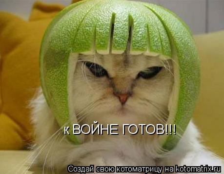 к ВОЙНЕ ГОТОВ!!!... Котоматрица: к ВОЙНЕ ГОТОВ!!!