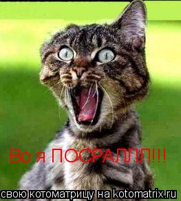 Во я ПОСРАЛЛЛ!!!... Котоматрица: Во я ПОСРАЛЛЛ!!!