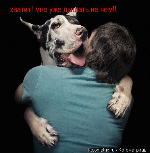 хватит! мне уже дышать не чем!!... Котоматрица: хватит! мне уже дышать не чем!!
