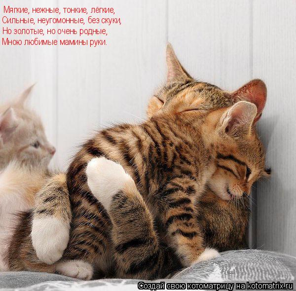 Мягкие, нежные, тонкие, лёгкие, Сильные, неугомонные, без скуки, Но золотые, но очень родные, Мною л... Котоматрица: Мягкие, нежные, тонкие, лёгкие, Сильные, неугомонные, без скуки, Но золотые, но очень родные, Мною любимые мамины руки.