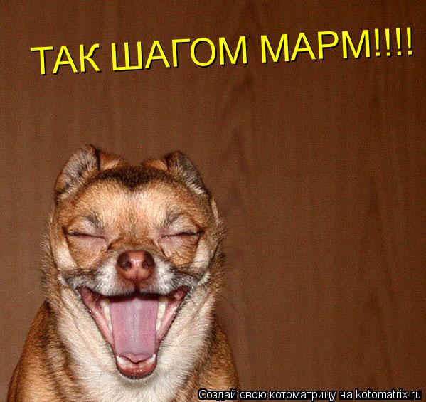 ТАК ШАГОМ МАРМ!!!!... Котоматрица: ТАК ШАГОМ МАРМ!!!!