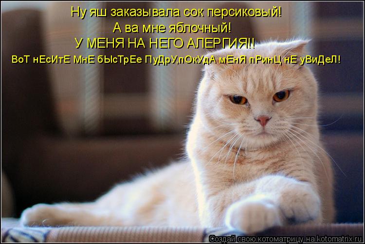 Ну яш заказывала сок персиковый! А ва мне яблочный! У МЕНЯ НА НЕГО АЛЕРГИЯ!! У МЕНЯ НА НЕГО АЛЕРГИЯ!!... Котоматрица: Ну яш заказывала сок персиковый! А ва мне яблочный! У МЕНЯ НА НЕГО АЛЕРГИЯ!! У МЕНЯ НА НЕГО АЛЕРГИЯ!! ВоТ нЕсИтЕ МнЕ бЫсТрЕе ПуДрУ,пОкУдА мЕнЯ