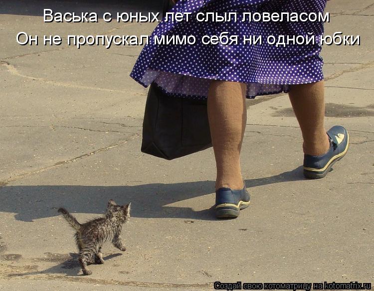 Котоматрица: Васька с юных лет слыл ловеласом Он не пропускал мимо себя ни одной юбки