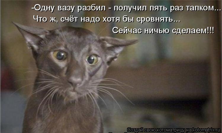Котоматрица: -Одну вазу разбил - получил пять раз тапком... Что ж, счёт надо хотя бы сровнять... Сейчас ничью сделаем!!!
