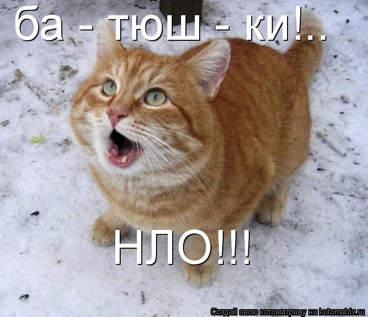 Котоматрица: ба - тюш - ки!.. НЛО!!!