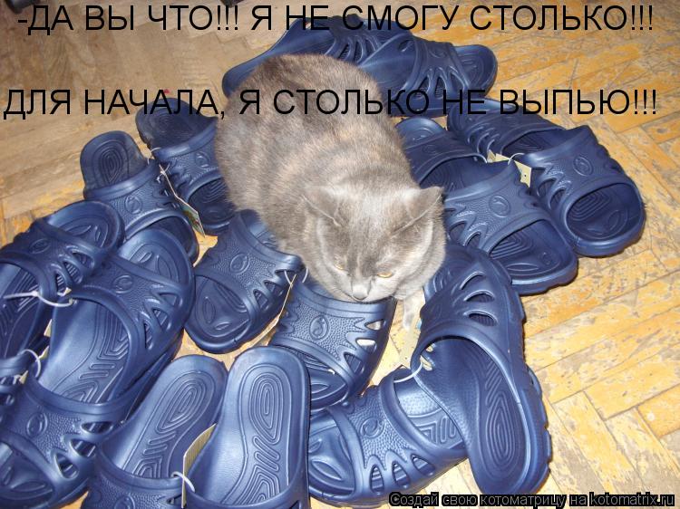 Котоматрица: ДЛЯ НАЧАЛА, Я СТОЛЬКО НЕ ВЫПЬЮ!!! -ДА ВЫ ЧТО!!! Я НЕ СМОГУ СТОЛЬКО!!!