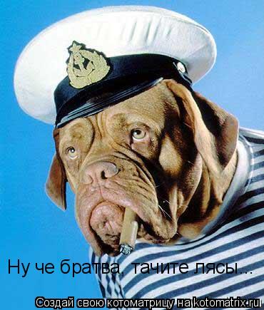 Ну че братва, тачите лясы...... Котоматрица: Ну че братва, тачите лясы...