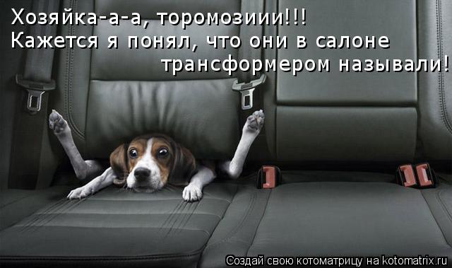 Хозяйка-а-а, торомозиии!!! Кажется я понял, что они в салоне трансформером называли!... Котоматрица: Хозяйка-а-а, торомозиии!!! Кажется я понял, что они в салоне трансформером называли!