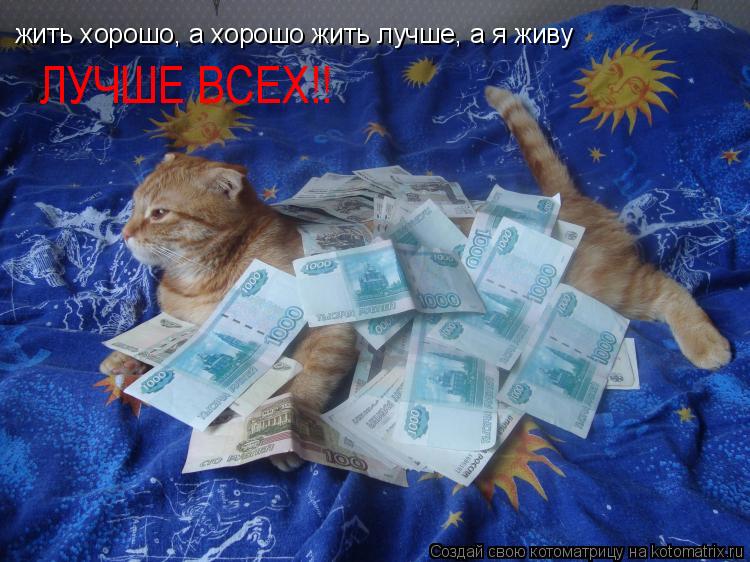 жить хорошо, а хорошо жить лучше, а я живу ЛУЧШЕ ВСЕХ!!... Котоматрица: жить хорошо, а хорошо жить лучше, а я живу ЛУЧШЕ ВСЕХ!!