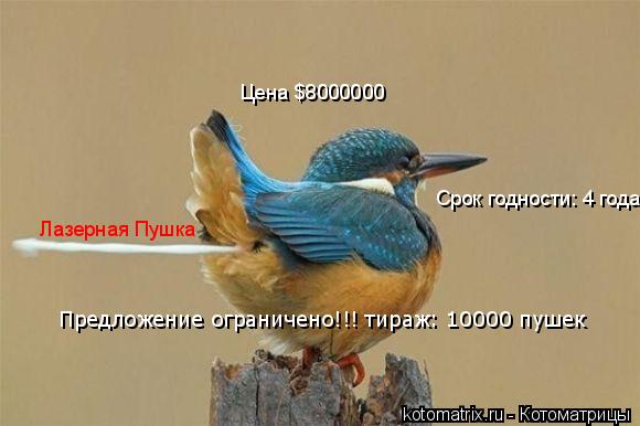 Лазерная Пушка Цена $8000000 Срок годности: 4 года Предложение ограничено!!! тираж: 10000 пушек... Котоматрица: Лазерная Пушка Цена $8000000 Срок годности: 4 года Предложение ограничено!!! тираж: 10000 пушек
