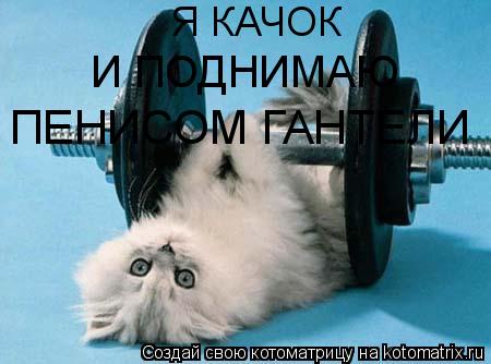 Я КАЧОК И ПОДНИМАЮ ПЕНИСОМ ГАНТЕЛИ... Котоматрица: Я КАЧОК И ПОДНИМАЮ ПЕНИСОМ ГАНТЕЛИ