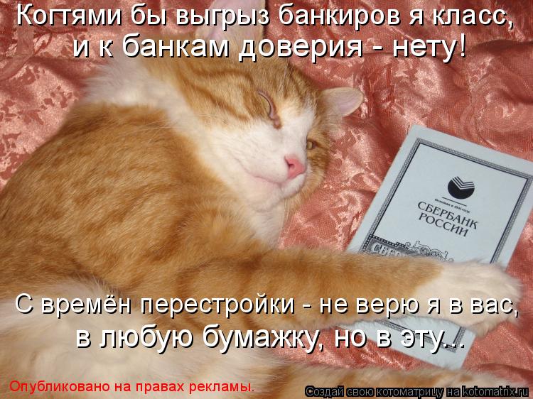 Котоматрица: Когтями бы выгрыз банкиров я класс, и к банкам доверия - нету! С времён перестройки - не верю я в вас, в любую бумажку, но в эту... Опубликовано н
