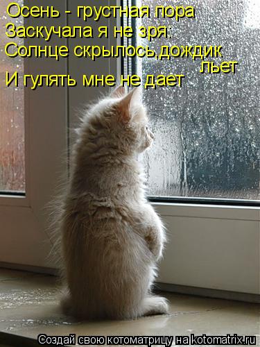 Осень - грустная пора Заскучала я не зря: Солнце скрылось,дождик льет И гулять мне не дает... Котоматрица: Осень - грустная пора Заскучала я не зря: Солнце скрылось,дождик льет И гулять мне не дает