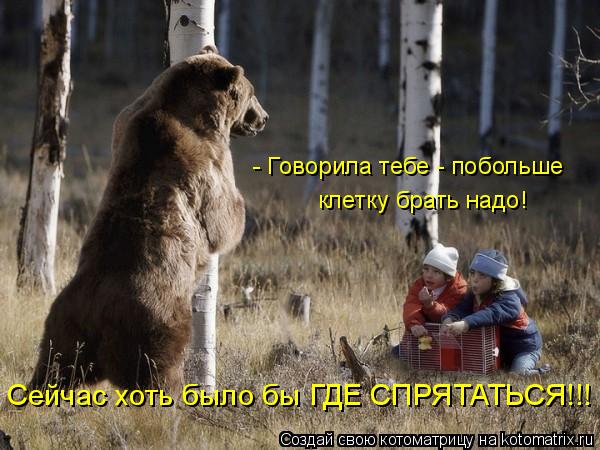 Котоматрица: - Говорила тебе - побольше  клетку брать надо! Сейчас хоть было бы ГДЕ СПРЯТАТЬСЯ!!!