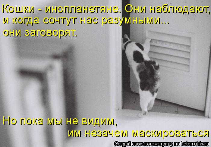 Кошки - инопланетяне. Они наблюдают, и когда сочтут нас разумными... они заговорят. Но пока мы не ви... Котоматрица: Кошки - инопланетяне. Они наблюдают, и когда сочтут нас разумными... они заговорят. Но пока мы не видим, им незачем маскироваться