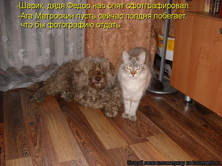 -Шарик, дядя Федор нас опят сфотграфировал. -Ага Матроскин пусть сейчас полдня побегает, что бы фот... Котоматрица: -Шарик, дядя Федор нас опят сфотграфировал. -Ага Матроскин пусть сейчас полдня побегает, что бы фотографию отдать
