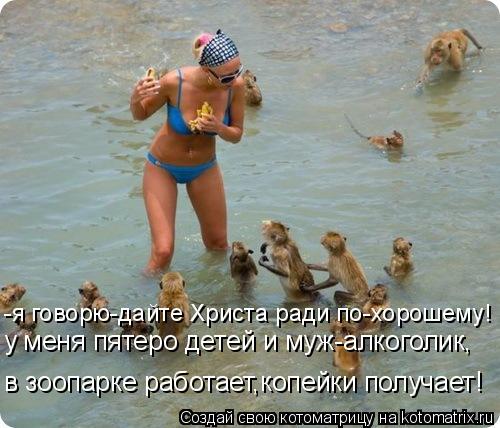 Котоматрица: у меня пятеро детей и муж-алкоголик, в зоопарке работает,копейки получает! -я говорю-дайте Христа ради по-хорошему!