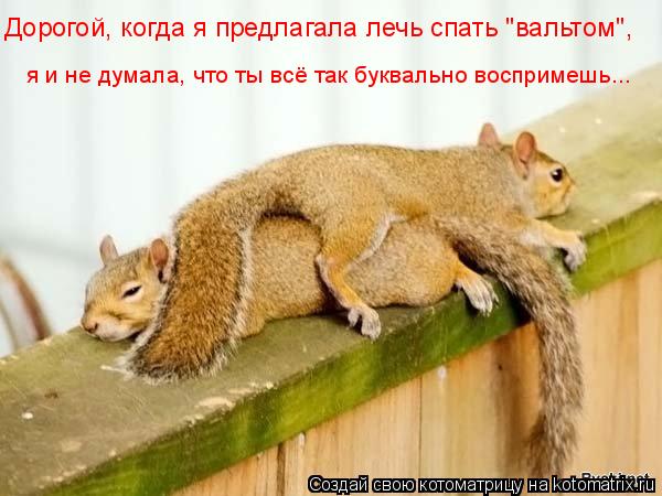 Дорогой, когда я предлагала лечь спать "вальтом", я и не думала, что ты всё так буквально воспримешь.... Котоматрица: Дорогой, когда я предлагала лечь спать "вальтом", я и не думала, что ты всё так буквально воспримешь...