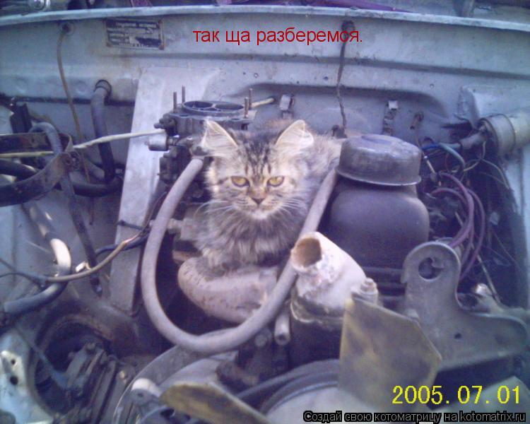 так ща разберемся.... Котоматрица: так ща разберемся.