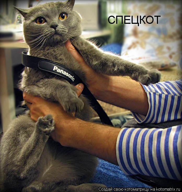 СПЕЦКОТ... Котоматрица: СПЕЦКОТ