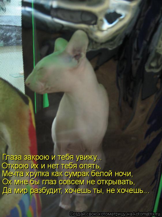 Глаза закрою и тебя увижу... Открою их и нет тебя опять, Мечта хрупка как сумрак белой ночи, Ох мне б... Котоматрица: Глаза закрою и тебя увижу... Открою их и нет тебя опять, Мечта хрупка как сумрак белой ночи, Ох мне бы глаз совсем не открывать, Да мир разбуди