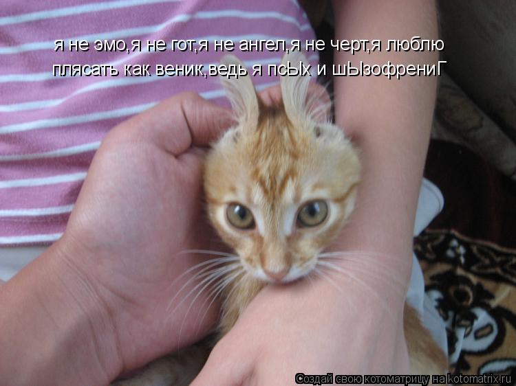 я не эмо,я не гот,я не ангел,я не черт,я люблю плясать как веник,ведь я псЫх и шЫзофрениГ... Котоматрица: я не эмо,я не гот,я не ангел,я не черт,я люблю плясать как веник,ведь я псЫх и шЫзофрениГ