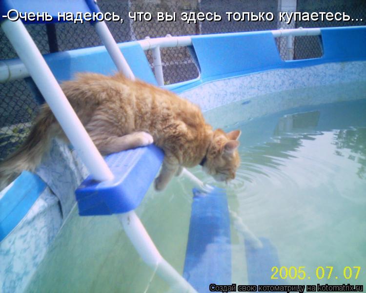 Котоматрица: -Очень надеюсь, что вы здесь только купаетесь...