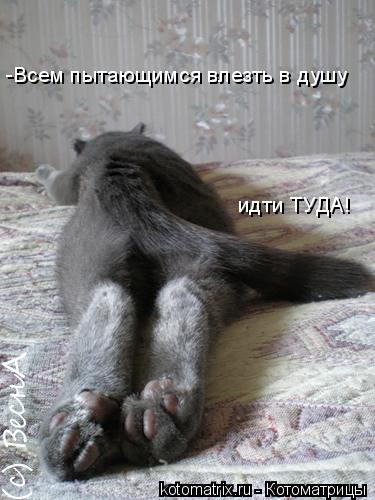 Котоматрица: -Всем пытающимся влезть в душу идти ТУДА!