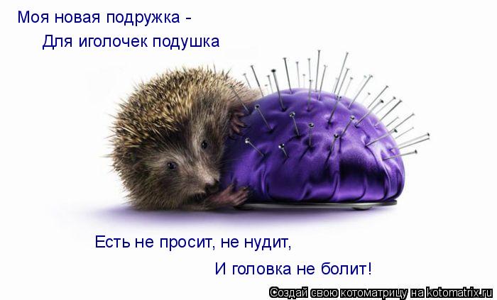 Для иголочек подушка Моя новая подружка - Есть не просит, не нудит, И головка не болит!... Котоматрица: Для иголочек подушка Моя новая подружка - Есть не просит, не нудит, И головка не болит!