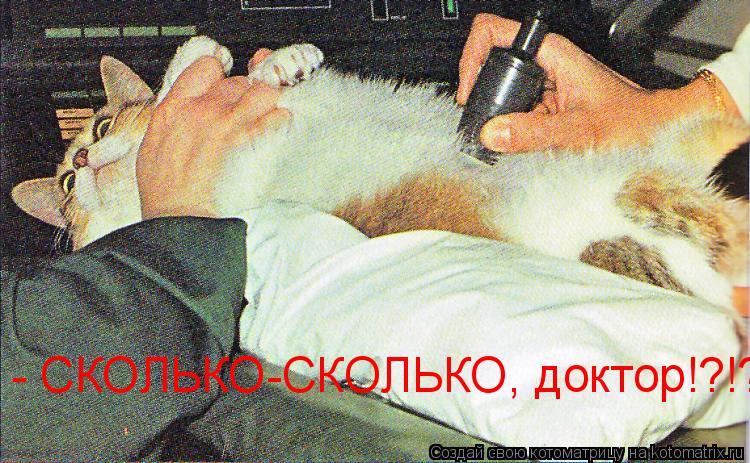 - СКОЛЬКО-СКОЛЬКО, доктор!?!?... Котоматрица: - СКОЛЬКО-СКОЛЬКО, доктор!?!?