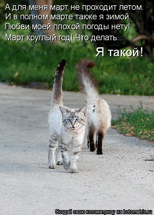 А для меня март не проходит летом. И в полном марте также я зимой. Любви моей плохой погоды нету! Мар... Котоматрица: А для меня март не проходит летом. И в полном марте также я зимой. Любви моей плохой погоды нету! Март круглый год! Что делать... Я такой!
