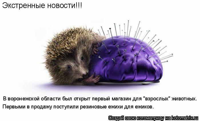 Экстренные новости!!! В воронежской области был открыт первый магазин для "взрослых" животных. Первым... Котоматрица: Экстренные новости!!! В воронежской области был открыт первый магазин для "взрослых" животных. Первыми в продажу поступили резиновые ежихи