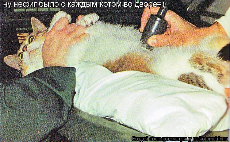 ну нефиг было с каждым котом во дворе=)... Котоматрица: ну нефиг было с каждым котом во дворе=)