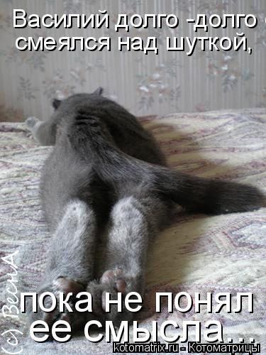 Василий долго -долго смеялся над шуткой, пока не понял ее смысла... смеялся над шуткой, пока не поня... Котоматрица: Василий долго -долго смеялся над шуткой, пока не понял ее смысла... смеялся над шуткой, пока не понял ее смысла...