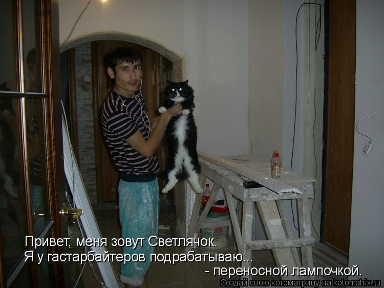 Привет, меня зовут Светлячок. Я у гастарбайтеров подрабатываю... - переносной лампочкой.... Котоматрица: Привет, меня зовут Светлячок. Я у гастарбайтеров подрабатываю... - переносной лампочкой.