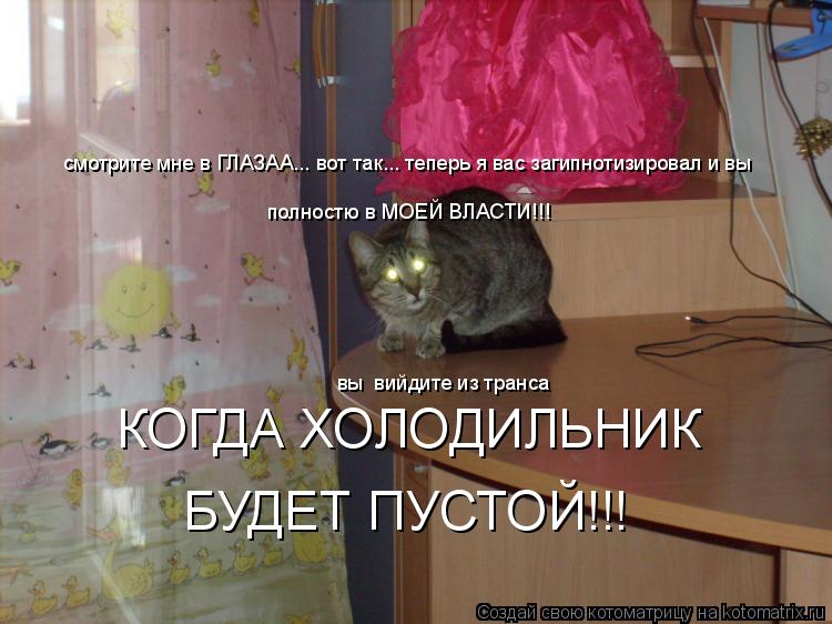 смотрите мне в ГЛАЗАА... вот так... теперь я вас загипнотизировал и вы полностю в МОЕЙ ВЛАСТИ!!! вы ... Котоматрица: смотрите мне в ГЛАЗАА... вот так... теперь я вас загипнотизировал и вы полностю в МОЕЙ ВЛАСТИ!!! вы вийдите из транса КОГДА ХОЛОДИЛЬНИК БУДЕТ