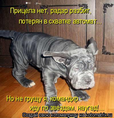 Прицела нет, радар разбит, потерян в схватке автомат... Но не грущу я, командир - иду по звездам, на... Котоматрица: Прицела нет, радар разбит, потерян в схватке автомат... Но не грущу я, командир - иду по звездам, наугад!...