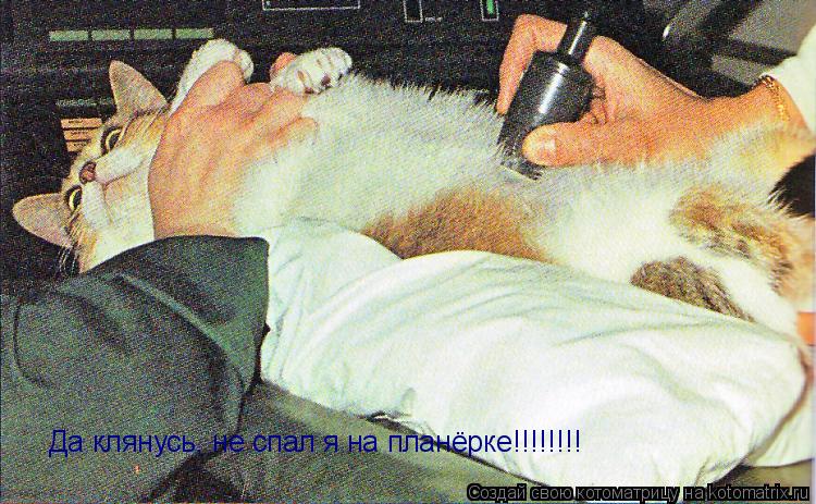 Да клянусь, не спал я на планёрке!!!!!!!!... Котоматрица: Да клянусь, не спал я на планёрке!!!!!!!!