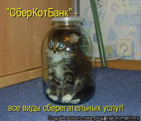 Котоматрица: "СберКотБанк" - все виды сберегательных услуг!