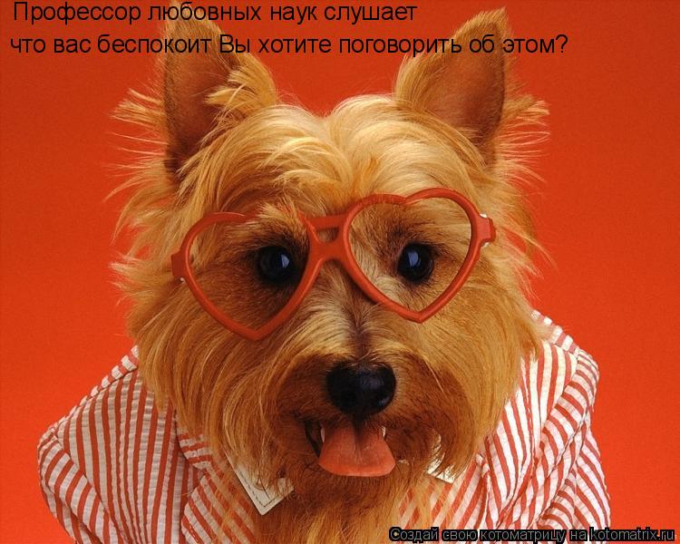 Профессор любовных наук слушает что вас беспокоит Вы хотите поговорить об этом?... Котоматрица: Профессор любовных наук слушает что вас беспокоит Вы хотите поговорить об этом?