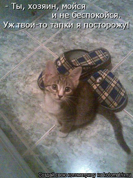 Котоматрица: - Ты, хозяин, мойся  и не беспокойся. Уж твои-то тапки я посторожу!