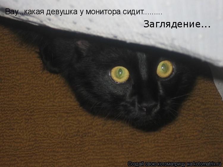 Вау...какая девушка у монитора сидит......... Заглядение...... Котоматрица: Вау...какая девушка у монитора сидит......... Заглядение...