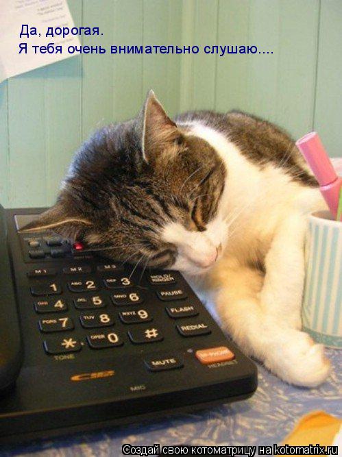 Да, дорогая. Я тебя очень внимательно слушаю....... Котоматрица: Да, дорогая. Я тебя очень внимательно слушаю....
