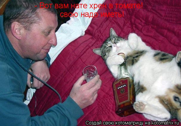 - Вот вам нате хрен в томате! свою надо иметь!... Котоматрица: - Вот вам нате хрен в томате! свою надо иметь!