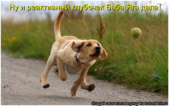 Ну и реактивный клубочек Баба Яга дала!... Котоматрица: Ну и реактивный клубочек Баба Яга дала!