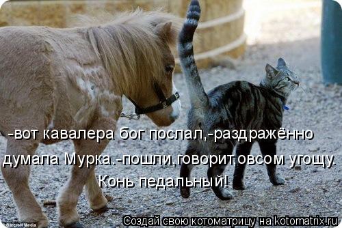 -вот кавалера бог послал,-раздражённо думала Мурка.-пошли-говорит,- овсом угощу. думала Мурка.-пошли... Котоматрица: -вот кавалера бог послал,-раздражённо думала Мурка.-пошли-говорит,- овсом угощу. думала Мурка.-пошли-говорит,- овсом угощу. думала Мурка.-пошл
