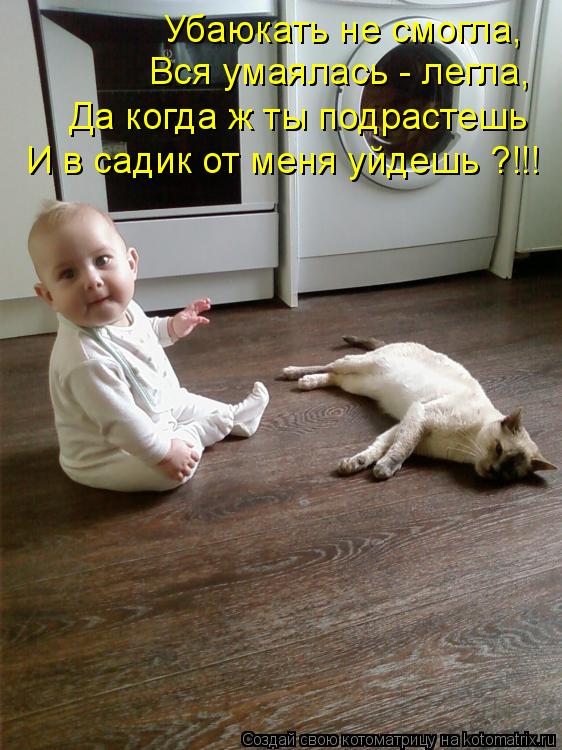 Убаюкать не смогла, Вся умаялась - легла, И в садик от меня уйдешь ?!!! Да когда ж ты подрастешь... Котоматрица: Убаюкать не смогла, Вся умаялась - легла, И в садик от меня уйдешь ?!!! Да когда ж ты подрастешь