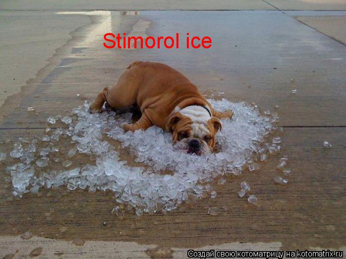 Котоматрица: Stimorol ice